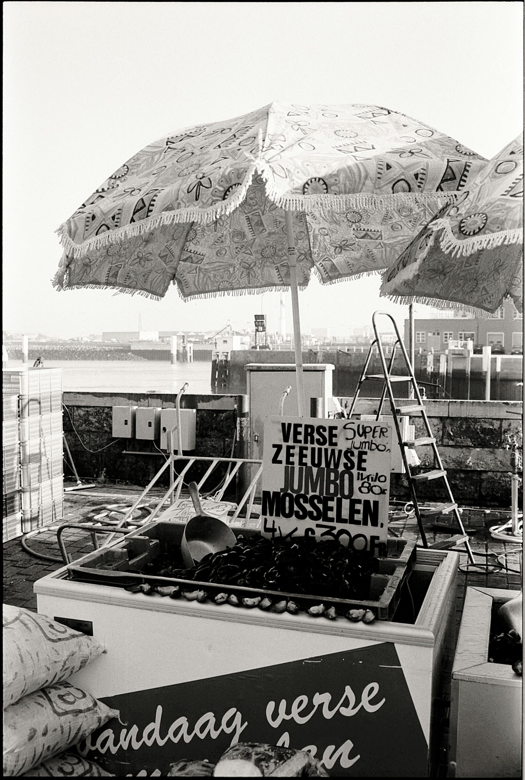 Monochrome image of a street food stall selling jumbo mussels by the waterfront.